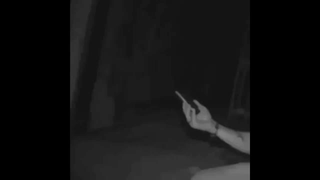 **theedgemaster used "*roll picture*"****theedgemaster rolled image**