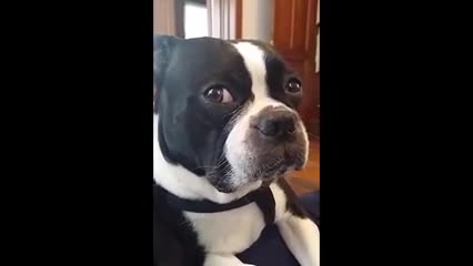 Typical cis scum, accusing me of being male.   
   
I sexually Identify as an Attack Helicopter. Ever since I was a boy I dreamed of soaring over the oilfields dropping hot sticky loads on disgusting foreigners. People say to me that a person being a helicopter is Impossible and I'm 			*******		 retarded but I don't care, I'm beautiful. I'm having a plastic surgeon install rotary blades, 30 mm cannons and AMG-114 Hellfire missiles on my body. From now on I want you guys to call me "Apache" and respect my right to kill from above and kill needlessly. If you can't accept me you're a heliphobe and need to check your vehicle privilege. Thank you for being so understanding.   
   
Check your facts, not your privilege