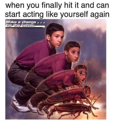 Black twiz. .. admin's life in a nutshell