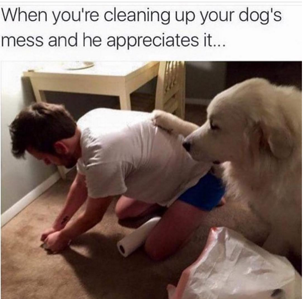 blk twt. . When you don' t know how to end conversation 'it/ BE you' re just like. something about this is amazing.