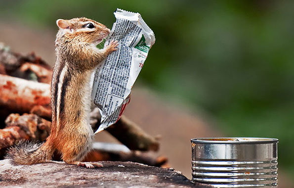 Breathtaking photos the return. A woman spoke out as she knelt in front of police in Kiev Café, Amsterdam. Photograph by Marko Savic Carousel, Wales. Photograph