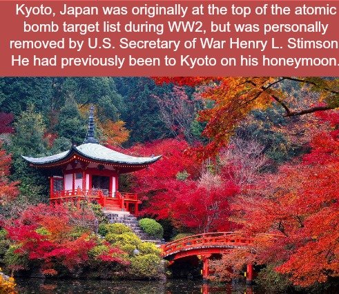 Fact Comp. I can't wait to lap the man fat from his spam javelin. Some girls are happy just to tune the tuna when they're alone, but I can't get off without hav