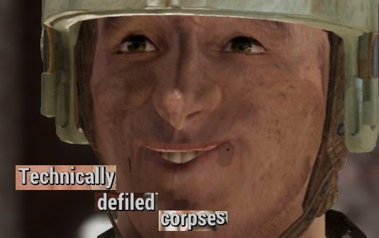 Fallout.. Made by me. My bad memes..