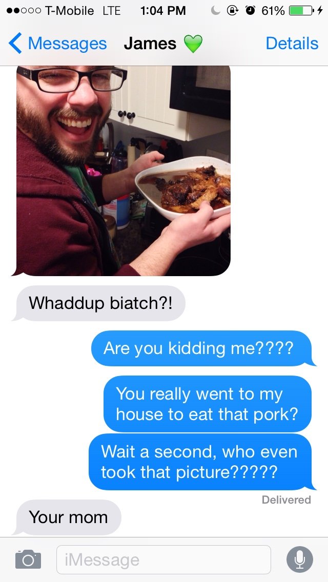 James . . Inlet: LTE 12: 33 PM L (ity W 40% it 4(: Messages (1) James Details Are you ( over I threw some pork in the slow cooker last night so by now it should