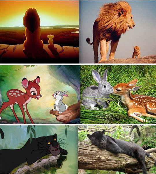 Real disney. .. they're all like super nice and friendly and then there's this one RAFIKI COME BACK I JUST WANT A HUG