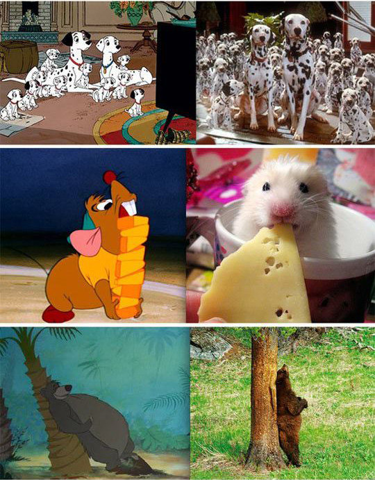 Real disney. .. they're all like super nice and friendly and then there's this one RAFIKI COME BACK I JUST WANT A HUG