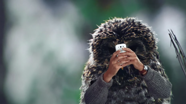 Remember 'Birds with arms'?. .. Sorry forgot the most important bird...