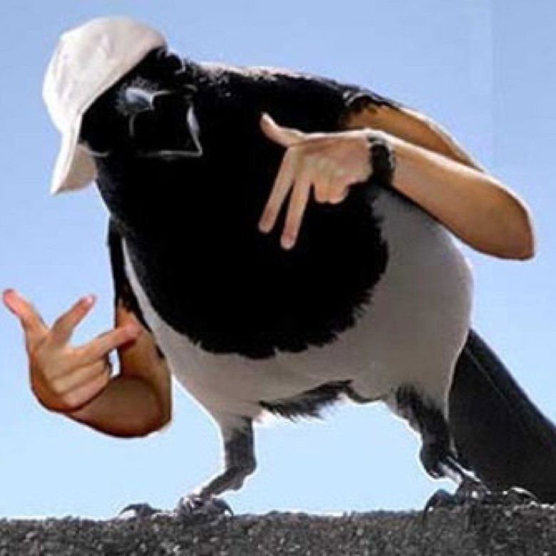 Remember 'Birds with arms'?. .. Sorry forgot the most important bird...