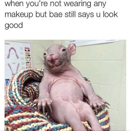 rnd cmp. .. I have never seen such white trash anywhere except for this picture. Meanwhile, every single Shaqu'shla'quanaka in my school is wearing Kerrigan-type hair.